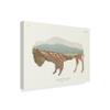 American Southwest Buffalo by Wild Apple Portfolio, 14x19-Inch view 2