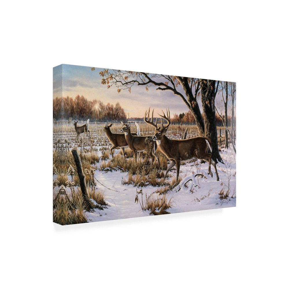Cautious Crossing Whitetails by Wilhelm Goebel, 16x24-Inch