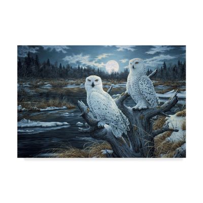 Snowy Owls by Jeff Tift, 16x24-Inch
