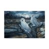 Snowy Owls by Jeff Tift, 16x24-Inch view 1