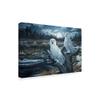 Snowy Owls by Jeff Tift, 16x24-Inch view 2