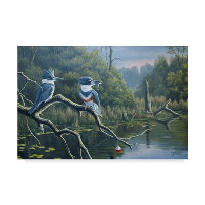 Luck Belted Kingfishers by Wilhelm Goebel, 16x24-Inch