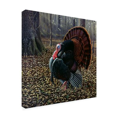 The King Of Spring Wild Turkey by Wilhelm Goebel, 24x24-Inch