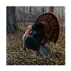 The King Of Spring Wild Turkey by Wilhelm Goebel, 24x24-Inch view 2