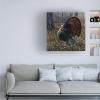 The King Of Spring Wild Turkey by Wilhelm Goebel, 24x24-Inch view 3