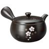 Yamashita Craft Tokoname Ware 13039210 Takeharu Kiln Henfuku Nakamae Nozomi Teapot, 10.1 fl oz (300 cc) view 1