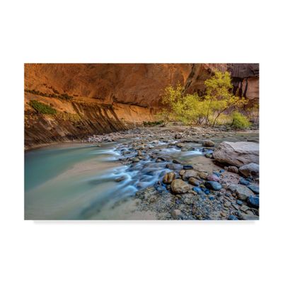 Virgin Narrows Zion by Pierre Leclerc, 16x24-Inch