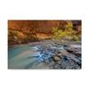 Virgin Narrows Zion by Pierre Leclerc, 16x24-Inch view 1