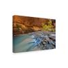 Virgin Narrows Zion by Pierre Leclerc, 16x24-Inch view 2