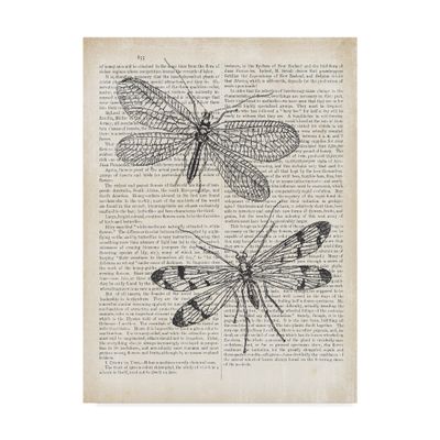 Vintage Dragonflies on Newsprint by Wild Apple Portfolio, 14x19-Inch