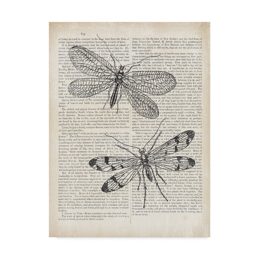 Vintage Dragonflies on Newsprint by Wild Apple Portfolio, 14x19-Inch