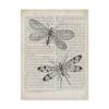 Vintage Dragonflies on Newsprint by Wild Apple Portfolio, 14x19-Inch view 1