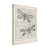 Vintage Dragonflies on Newsprint by Wild Apple Portfolio, 14x19-Inch view 2