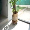 Louis Moulin Base 4 Wheels, Wood, 30 x 30 x 8.5 cm, 8500 view 3