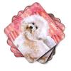 Caroline's Treasures BB9792FC Bichon Frise #2 Love Foam Coaster Set of 4, Red Set of 4 Cup Coasters for Indoor Outdoor, Tabletop Protection, Anti Slip, Mouse pad Material view 2