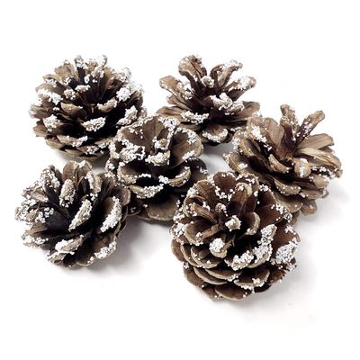 Homeford Decorative Ice Austrian Pine Cones, 1-1/2-Inch, 6-Count