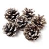 Homeford Decorative Ice Austrian Pine Cones, 1-1/2-Inch, 6-Count view 1