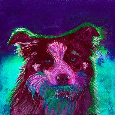 Border Collie Art, Colorful Collie Dog, Dog Owner Gift, Art, Abstract Pastel Painting