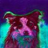 Border Collie Art, Colorful Collie Dog, Dog Owner Gift, Art, Abstract Pastel Painting view 1