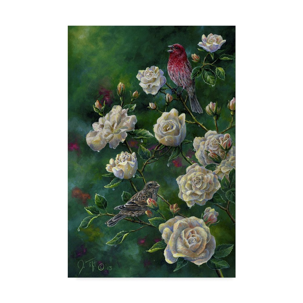 Purple Finch by Jeff Tift, 16x24-Inch