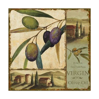 Tuscan Delight II by Lisa Audit, 18x18-Inch