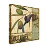 Tuscan Delight II by Lisa Audit, 18x18-Inch view 2