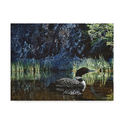 Summer Loon by Ron Parker, 35x47-Inch