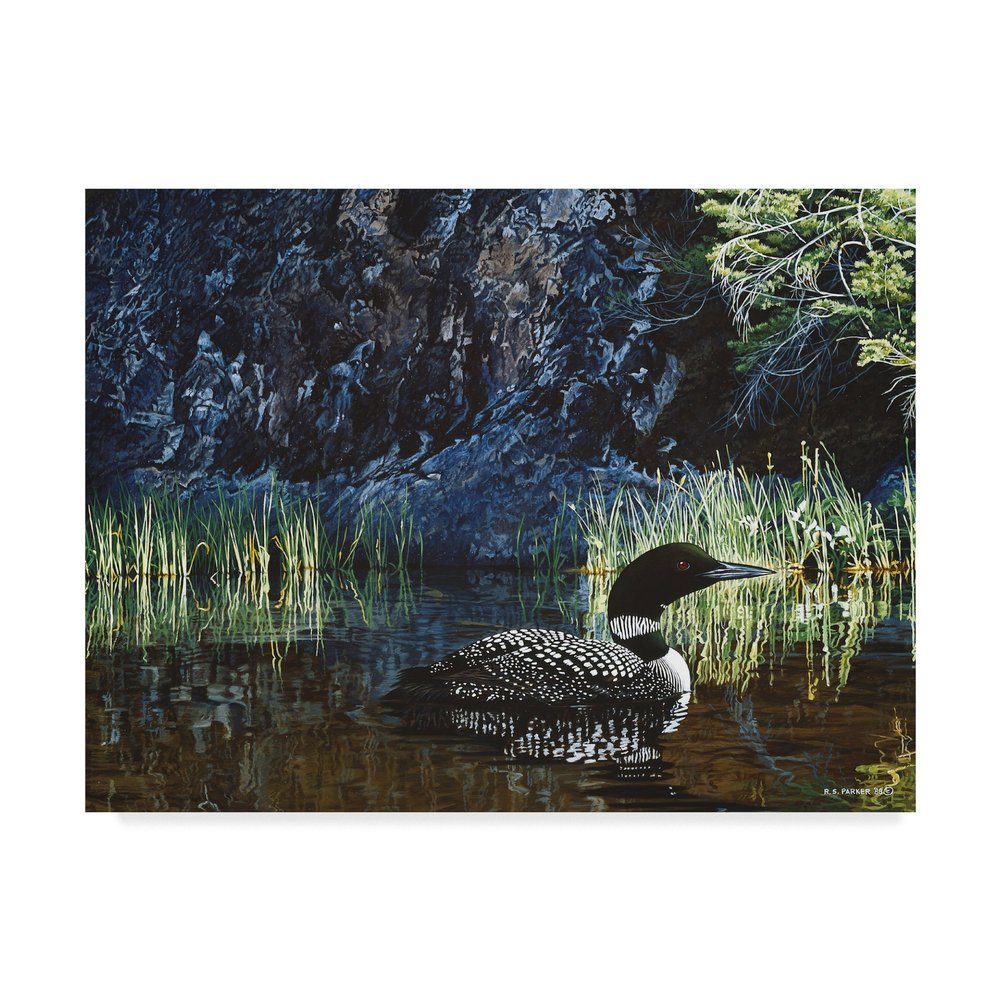Summer Loon by Ron Parker, 35x47-Inch