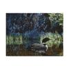 Summer Loon by Ron Parker, 35x47-Inch view 1