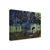 Summer Loon by Ron Parker, 35x47-Inch view 2