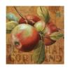 Apple Season I by Lisa Audit, 18x18-Inch view 1