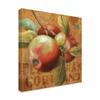 Apple Season I by Lisa Audit, 18x18-Inch view 2