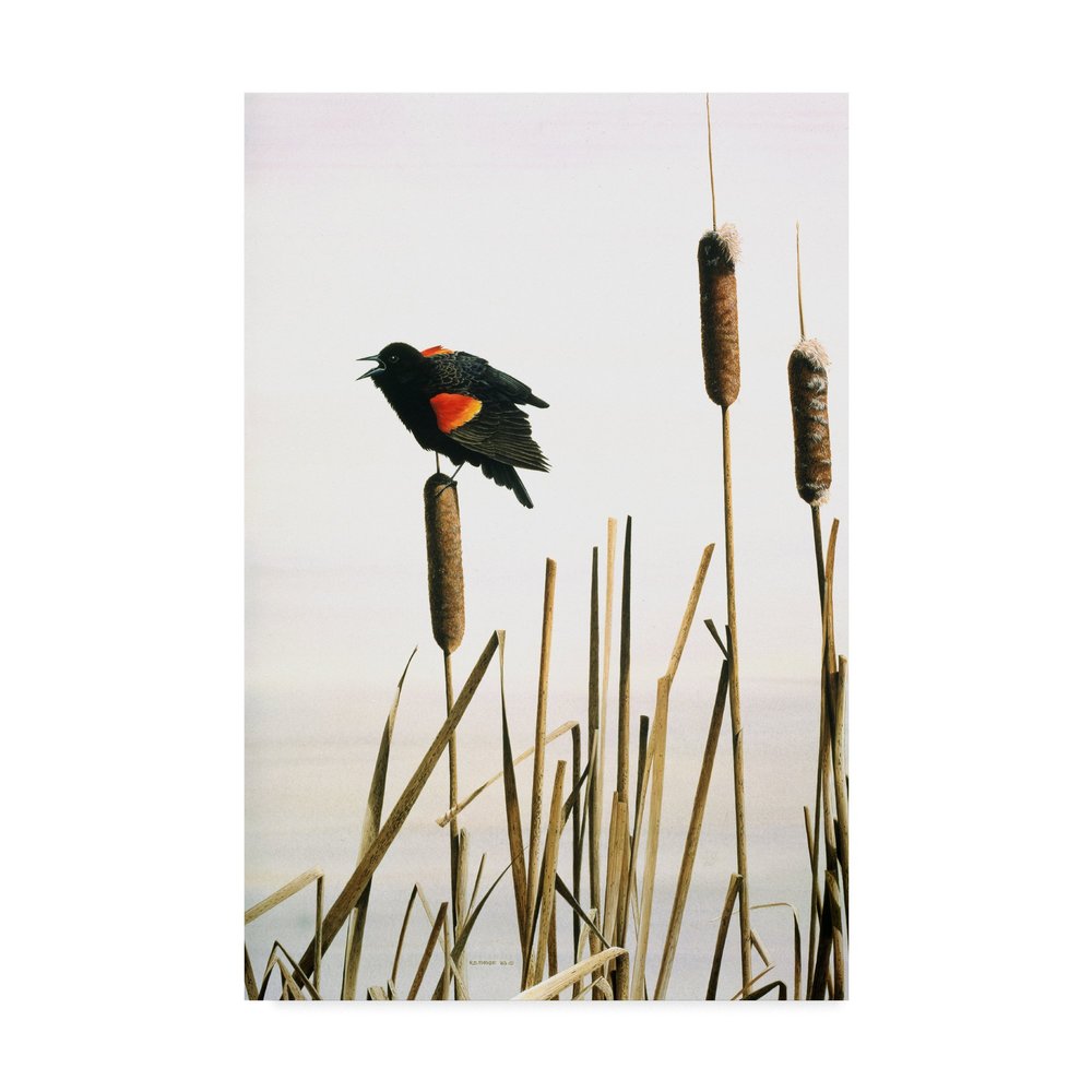 Early Arrival Red Winged Blackbird by Ron Parker, 16x24-Inch