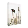 Early Arrival Red Winged Blackbird by Ron Parker, 16x24-Inch view 2