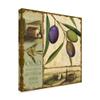 Tuscan Delight I by Lisa Audit, 18x18-Inch view 2
