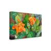Blossoming Cactus by Joanne Porter, 16x24-Inch view 2