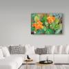 Blossoming Cactus by Joanne Porter, 16x24-Inch view 3