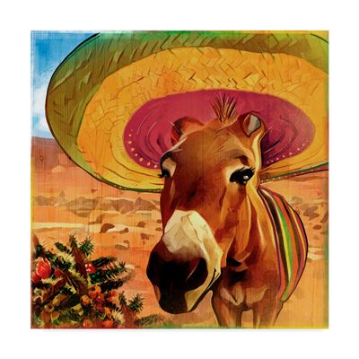 Fiesta Mule by ALI Chris, 18x18-Inch