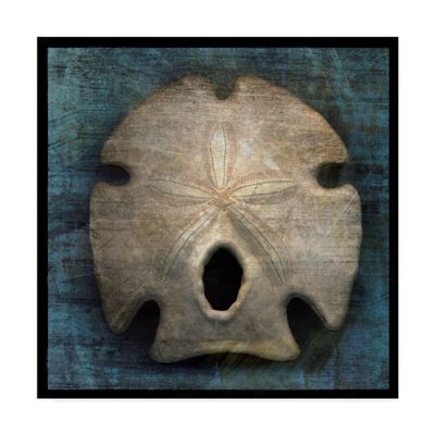 Arrowhead Sand Dollar by John W. Golden, 18x18-Inch