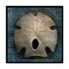 Arrowhead Sand Dollar by John W. Golden, 18x18-Inch view 1