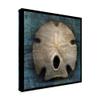 Arrowhead Sand Dollar by John W. Golden, 18x18-Inch view 2