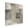 Shades of Gray II by Lisa Audit, 18x18-Inch view 2