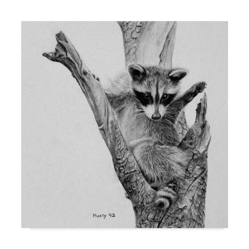 Bandit by Rusty Frentner, 18x18-Inch