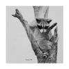 Bandit by Rusty Frentner, 18x18-Inch view 1