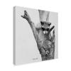 Bandit by Rusty Frentner, 18x18-Inch view 2