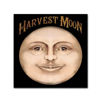 The Harvest Moon by Vintage Apple Collection, 18x18-Inch