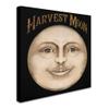 The Harvest Moon by Vintage Apple Collection, 18x18-Inch view 2