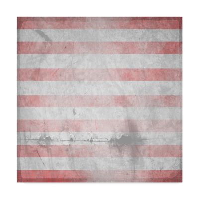 American Born Stripes by Lightboxjournal, 18x18-Inch
