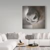Reindeer Snout by Christine Sainte-Laudy, 18x18-Inch view 3