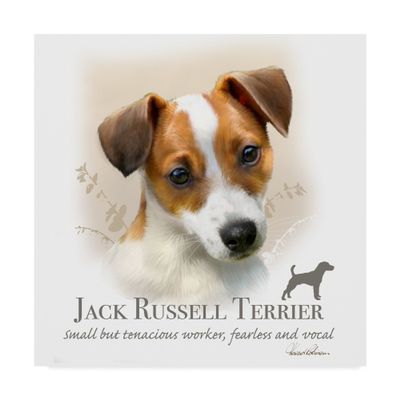 Jack Russell Terrier by Howard Robinson, 18x18-Inch